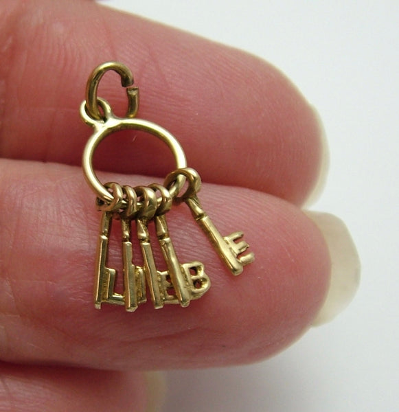 Small Vintage 1950's 14k 14ct Gold Bunch of Keys Charm that Spell “LIEBE”