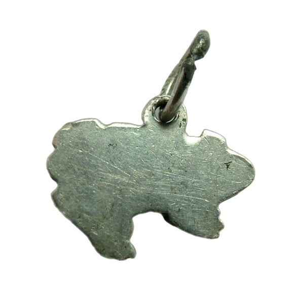 Small Vintage 1950's Silver & Lime Green Enamel Frog Charm Enamel Charm - Sandy's Vintage Charms